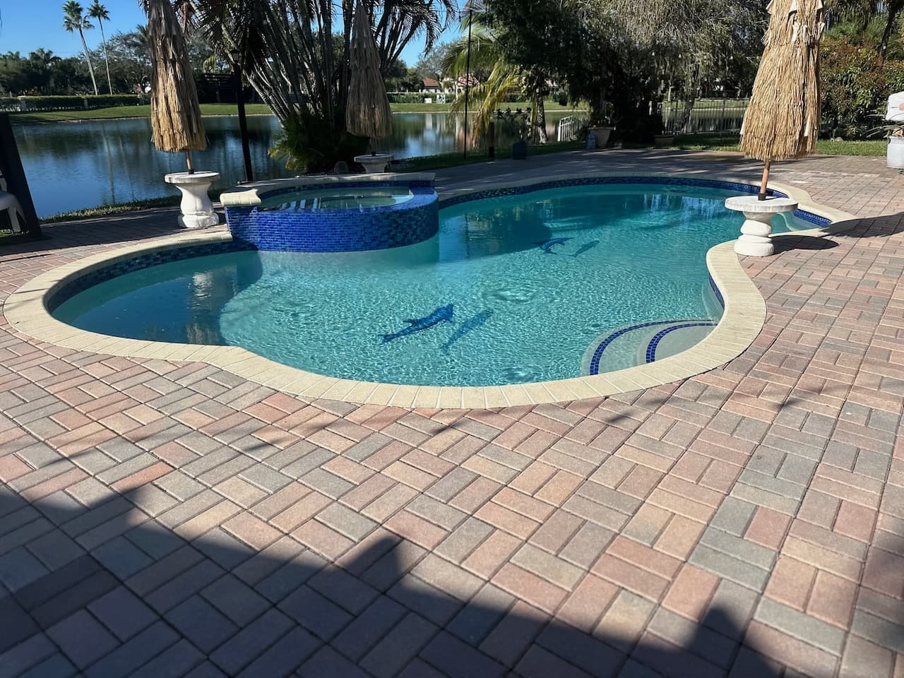 Pool renovation and outdoor living project photo 37 - Blue Clair Pool South Florida